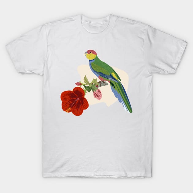 Parrot and Hibiscus T-Shirt by LizzyizzyDesign